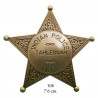 Indian police badge