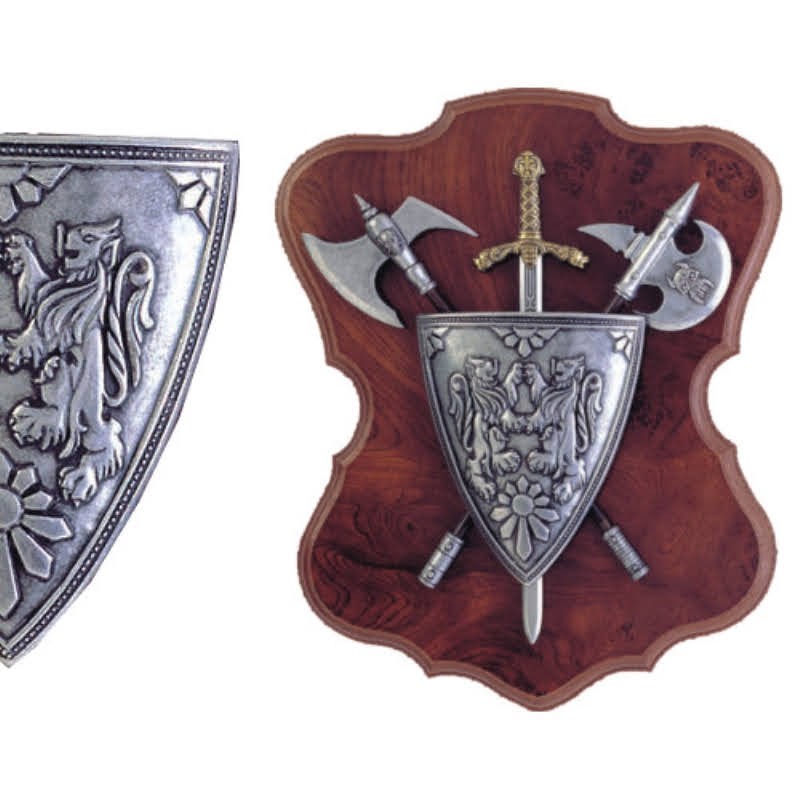 Panoply with shield, sword and 2 axes