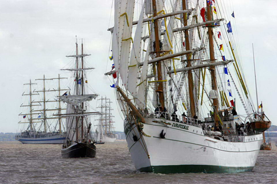View of several sailboats